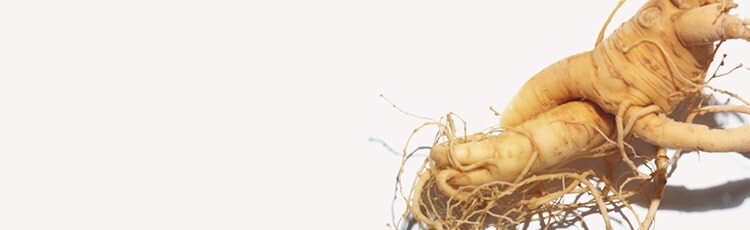 ginseng stems in a pile