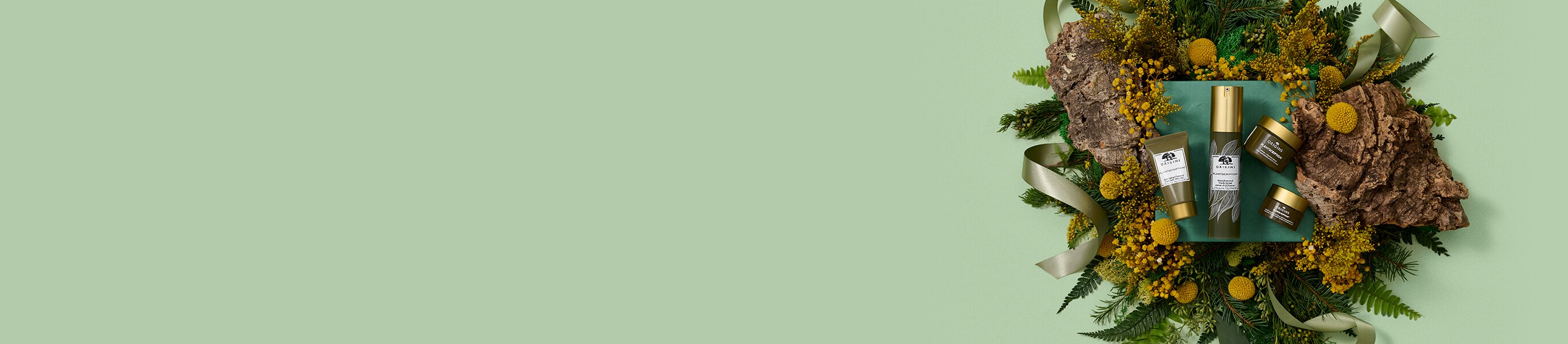 sage background with Plantscription holiday gift set