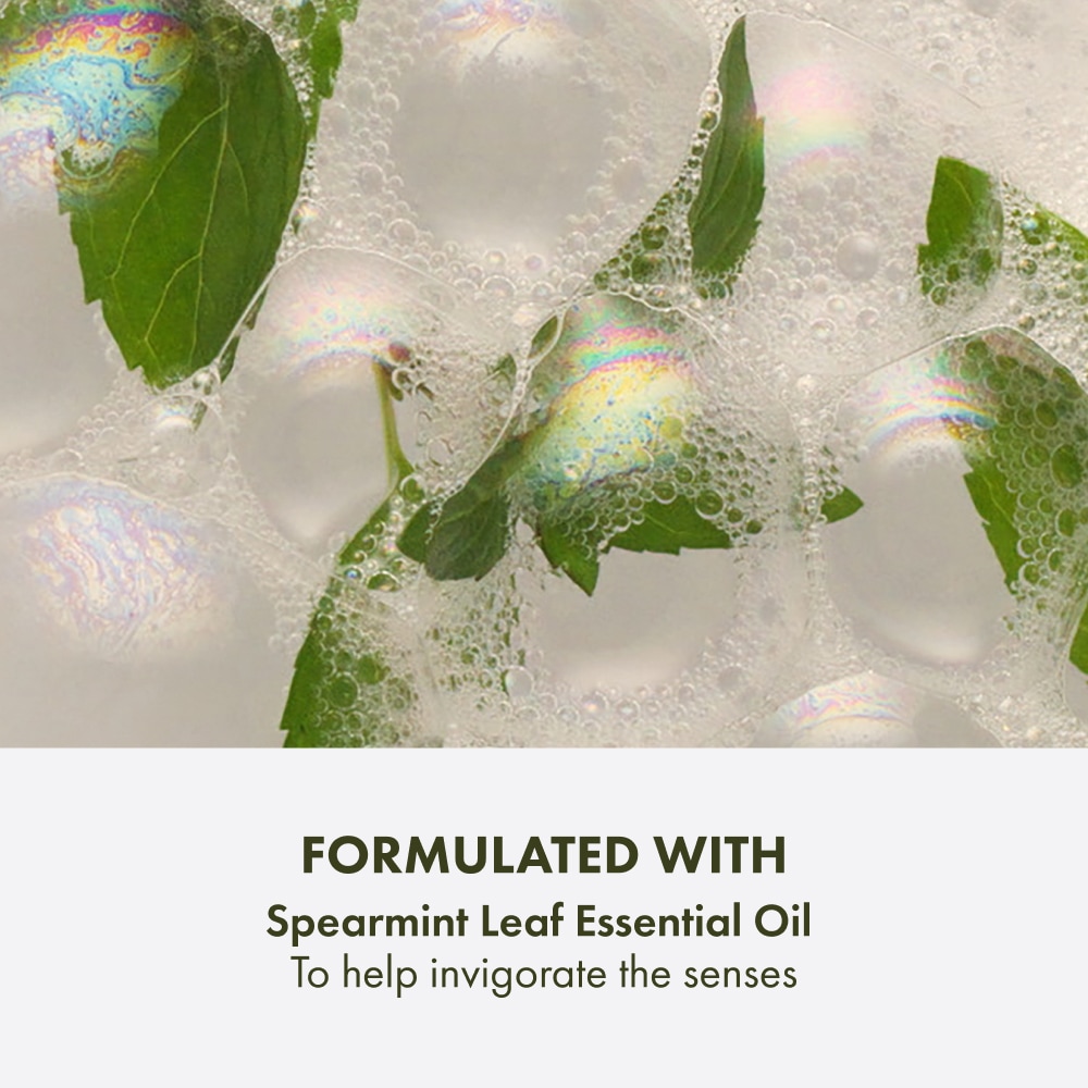 Checks and Balances™ Frothy Face Wash, 250ml