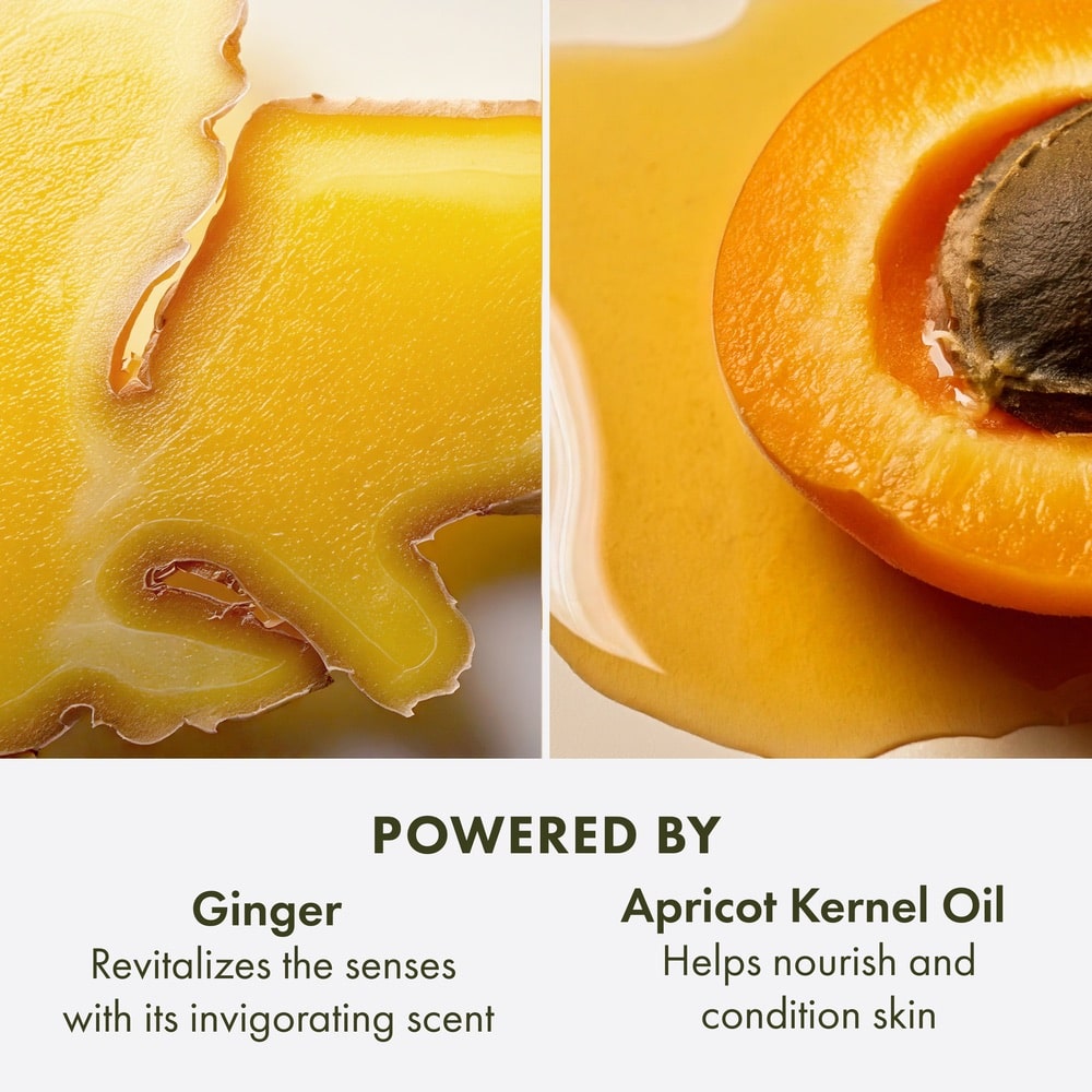 Ginger Souffle™ Whipped Body Cream ($103 Value), 350ml