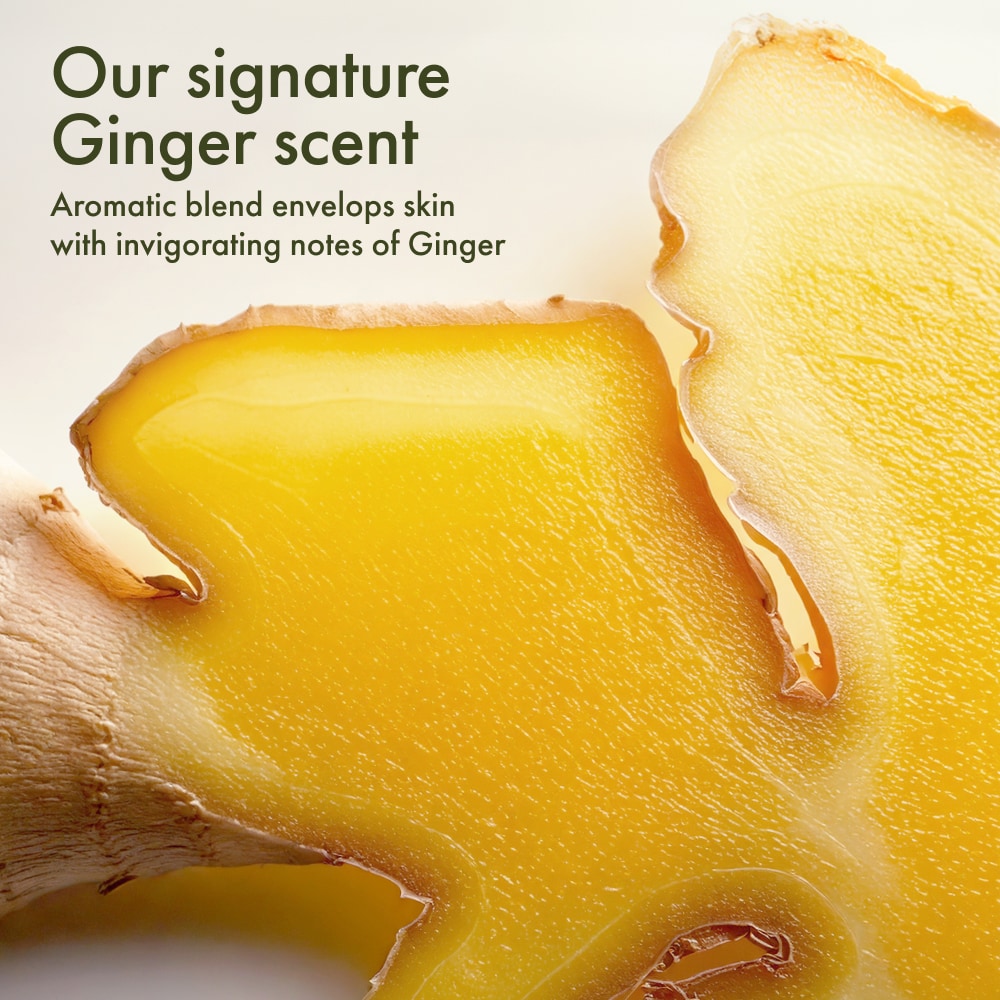 Ginger Mini Moments Gift Set for Hand & Body Care